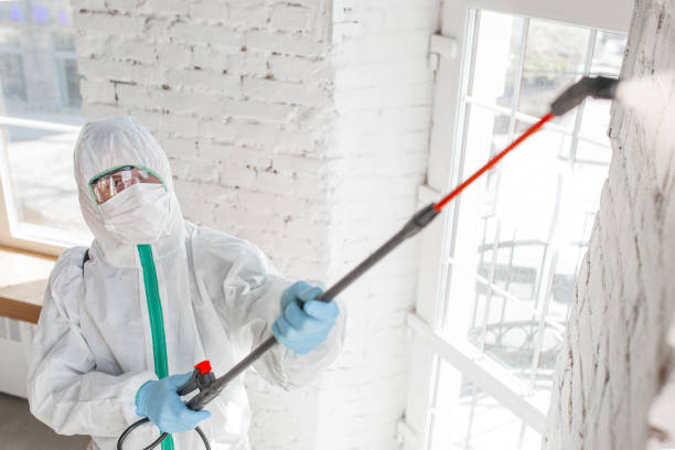 Best Forensic Mold Investigation  in Sierra Madre, CA